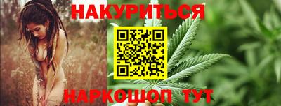 индика Краснознаменск