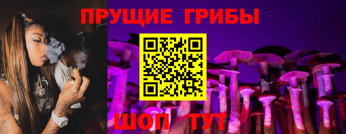 Галлюциногенные грибы прущие грибы  Вход с VPN  Красноармейск 